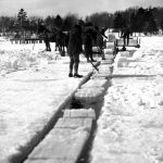 Breaking the cakes free was a process called “spudding.” Long pike poles guided the blocks through an open channel to a powered conveyor which delivered them to trucks or horse-drawn sledges, one per second. Transported to windowless warehouses on the shores of Lake Charlevoix and Round Lake, the cakes, often weighing up to 150 pounds, were separated and insulated by layers of sawdust from the area’s lumber mills. The spudding seen here is being done just off Depot Beach in 1924. The Inn hotel’s roof is barely visible at upper right. Ice Harvesting